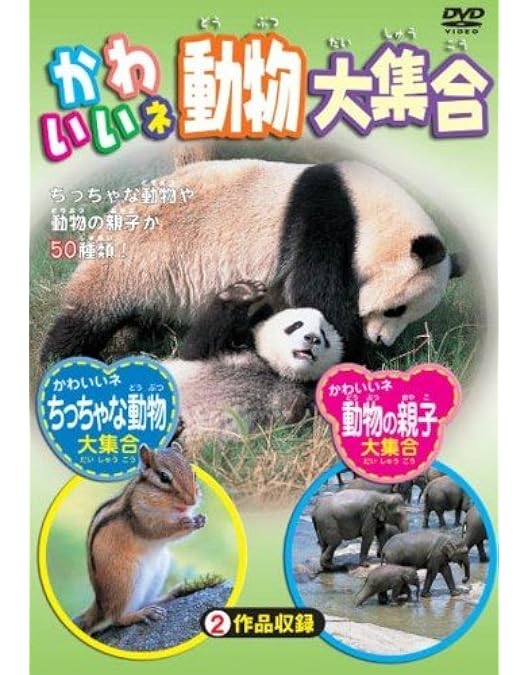 Amazon.co.jp: 動物園 どうぶつえん ウォッチング KID-1401 [DVD] : DVD